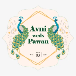 Designer Sticker-122